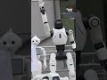 Robots protest in Poland demanding tougher AI rules