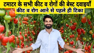 टमाटर के सभी कीटों और रोगों के लिए बेस्ट दवाइयाँ | Tamatar ki kheti | Tomato leaf miner control |