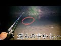 【捕獲難易度MAX】静かな川の中に潜む外来生物を獲って持ち帰ってみたら…