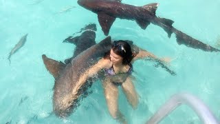 11 Friendliest Ocean Creatures In The World