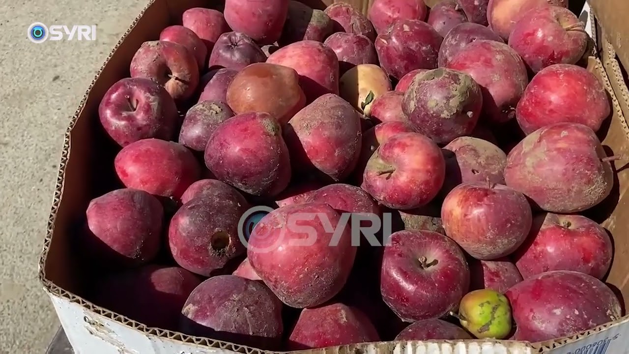 Bujqësia braktiset nga të rinjtë, fermerët e zonës së Zvirinës punojnë edhe në pension