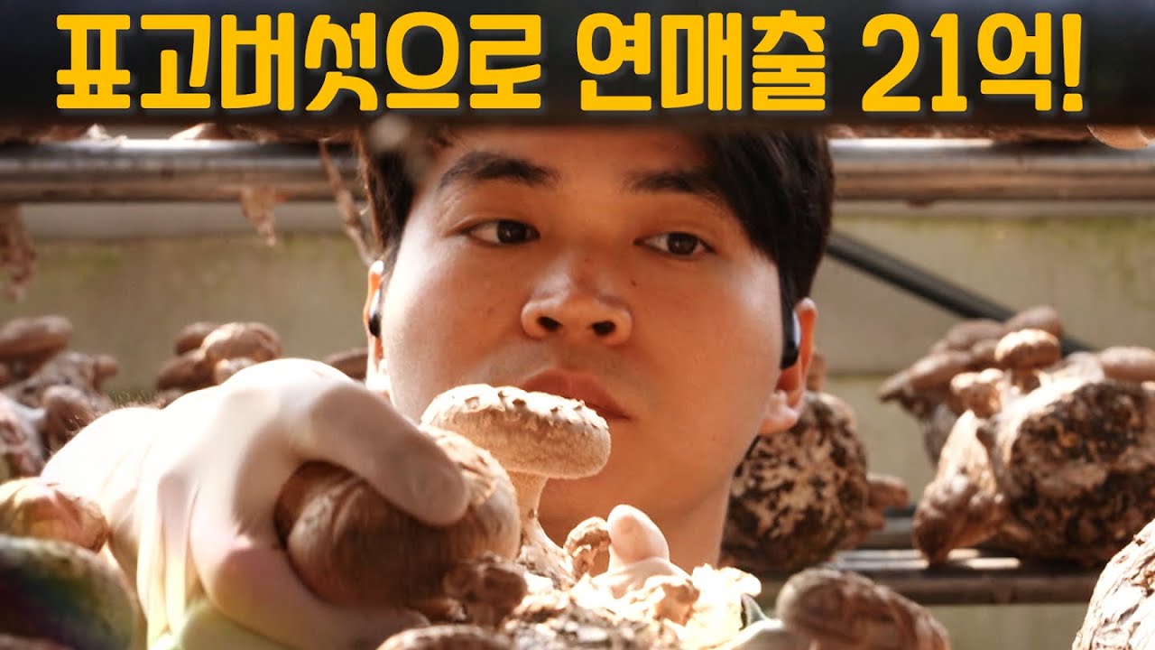 [역전의부자농부 350회] 표고버섯 농장 운영으로 연 매출 21억 원! 서산 김형래 부자농부