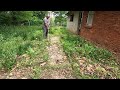 Homeowner Didn't Recognize His House After This Lawn Makeover -  CRAZY OVERGROWN TALL GRASS CLEANUP