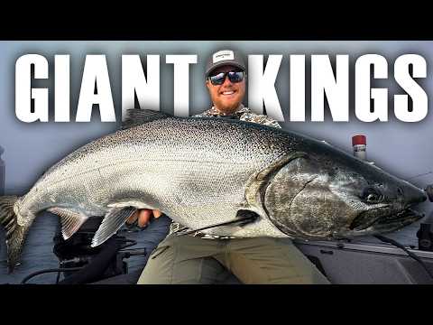 The Hunt for Lake Michigan's BIGGEST King Salmon!