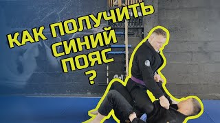 видео: ВСЁ, что ДОЛЖЕН ЗНАТЬ Белый Пояс в BJJ! Полный ГАЙД 🥋🔥 картинка: ВСЁ, что ДОЛЖЕН ЗНАТЬ Белый Пояс в BJJ! Полный ГАЙД 🥋🔥