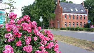 : .Altes Lager,      /47280  4.07.2021