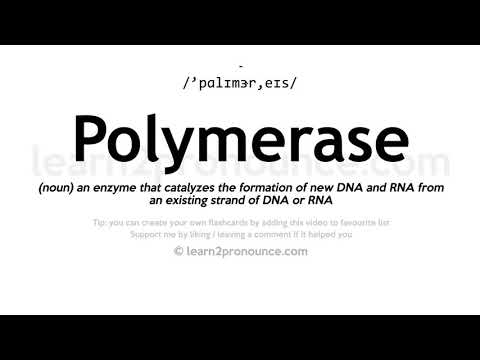 Pronunciation of Polymerase | Definition of Polymerase