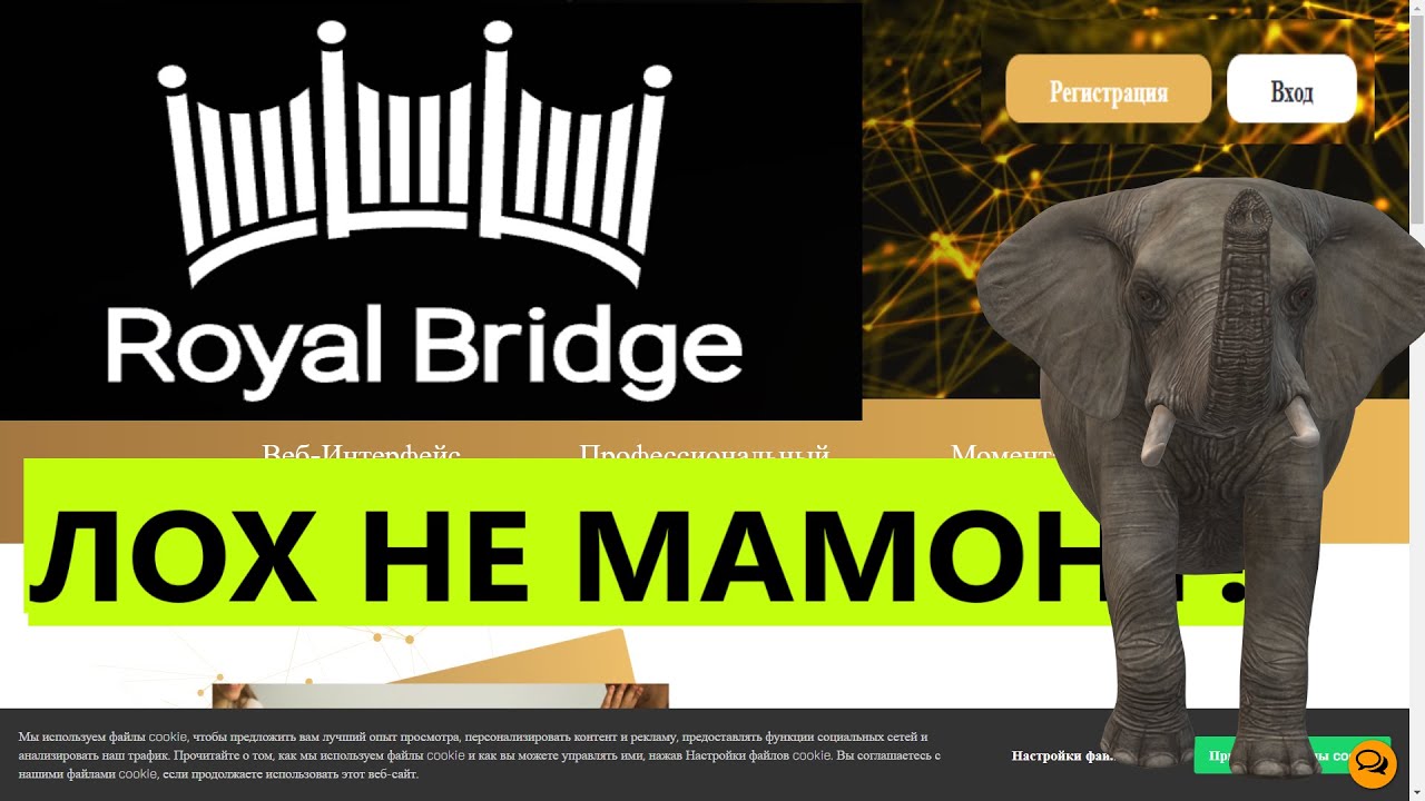 royal-bridge.com отзывы Royal-Bridge схема развода