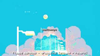 Flawed Mangoes ~ Dramamine [Slowed + Reverb]
