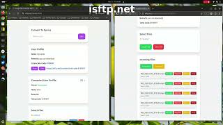 Celebrity Transfer large files online with isftp.net Free, fast, secure Net Worth