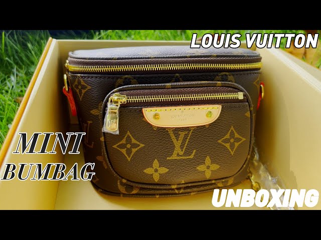 Louis Vuitton HOTTEST New Release! Is The Mini Bumbag Worth It? Full  Review: Pros/Cons 