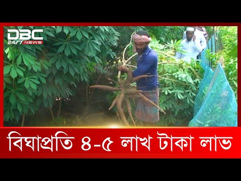 ভিডিও: কাসাভা আটার বিকল্প কি?