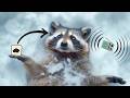 Pika Art Tuto Sound Effect (générer des sons IA synchronisés avec vos vidéos)
