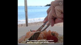 Caught off the Coast: Sustainable Fishing in Oregon