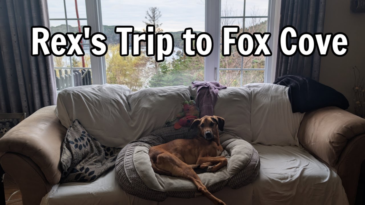 Поездка Рекса в Фокс-Коув