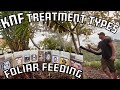 Knf treatment typesfoliar feeding natural farming naturalfarming regenerativefarming