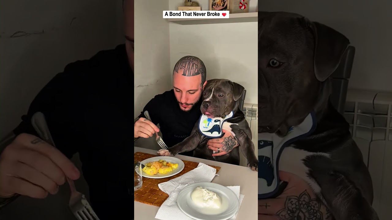 A Bond That Never Broke