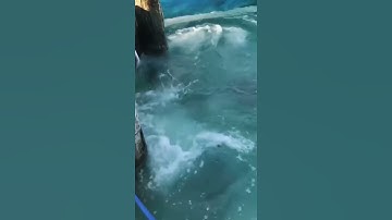 Câu cá nông thôn châu Á tuyệt vời 🐟 Kỹ thuật câu cá tốt nhất 🐟 #shorts