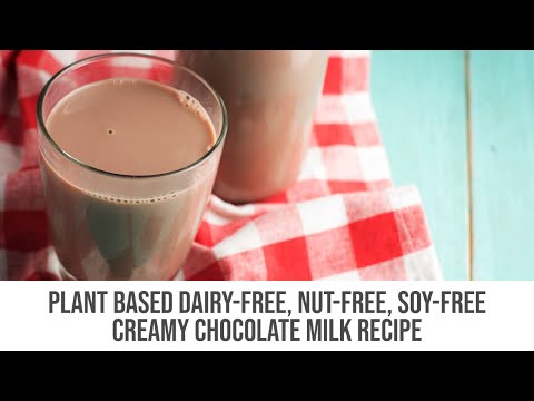 creamy-chocolate-milk-recipe---dairy-free,-nut-free,-soy-free-creamy-chocolate-shake
