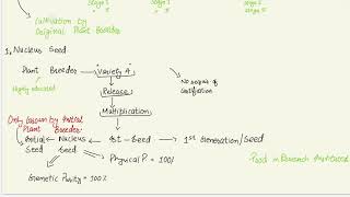 Classification of Seed -Types of Seed- Breeders-Foundation-Certified- Truth full - Registered |