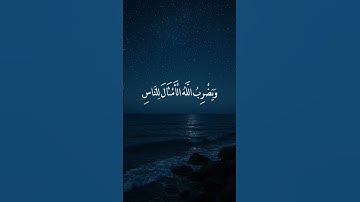 تلاوة الوجه الخامس من سورة النور