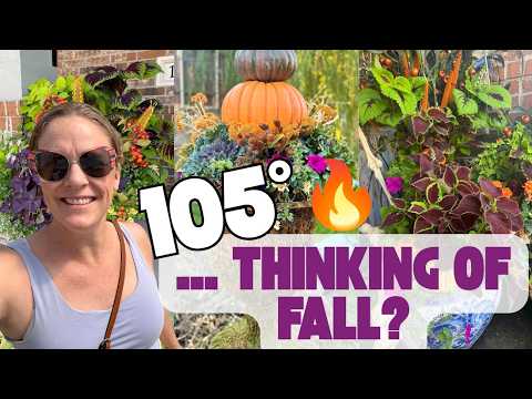 🍂🌿 Dreaming of Fall in 105° Heat?! 🍂 Fall Container Inspiration at Covington's Nursery