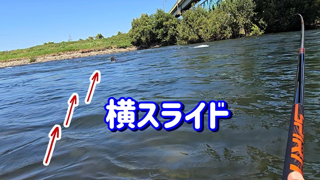 【アーマードの横スライドで鮎を掛ける】九頭竜川中部　鮎釣り