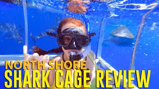North Shore Shark Cage Dive Review | Oahu Hawaii