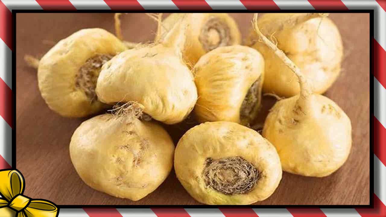 receta de jugo de ampalaya para la diabetes