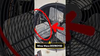 AC Breaker Keeps Tripping… You Won’t Believe What I Found Inside!