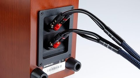 lựa chọn dây loa đấu bi-wire như nào cho hiệu quả , có nên đấu bi-wire không