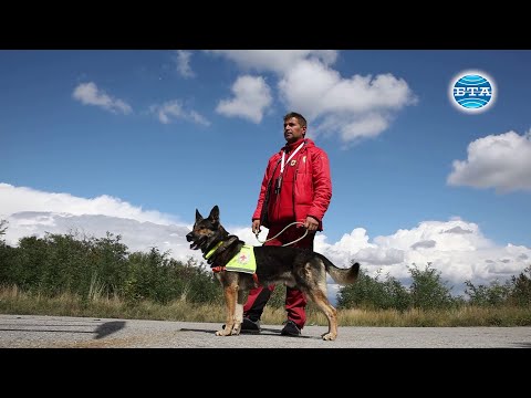 Видео: Службата за оттегляне на кучета намира нова кариера в прокуратурата