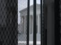 Graham v. Connor Explained | When Police Force Becomes Excessive