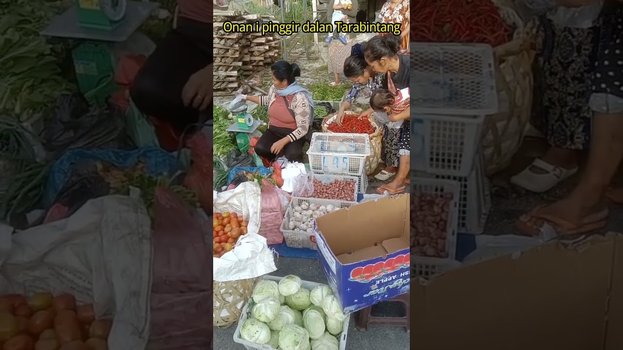Lagu DairiTerbaru Tedoh Mulak mi kuta Tarabintangi,Cipt.Very Sbln.