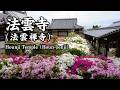 【大阪】法雲寺 (法雲禅寺)のつつじ Azaleas at Hounji Temple (Houn-zenji) | Osaka, Japan (2026)