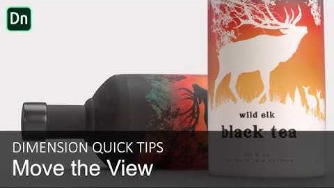 How to move the view and adjust canvas size in Dimension