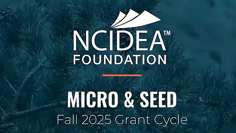 Fall 2025 Grants Info Session Webinar - NC IDEA Foundation