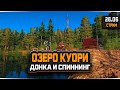 Русская Рыбалка 4 — Стрим на озере Куори. Рыбалка Донкой и Спиннингом.
