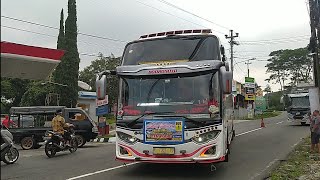 TELOLET BASURI 24 NOT BUS MAJU LANCAR BODRONOYO DI CELOSIA BANDUNGAN SEMARANG  screenshot 1