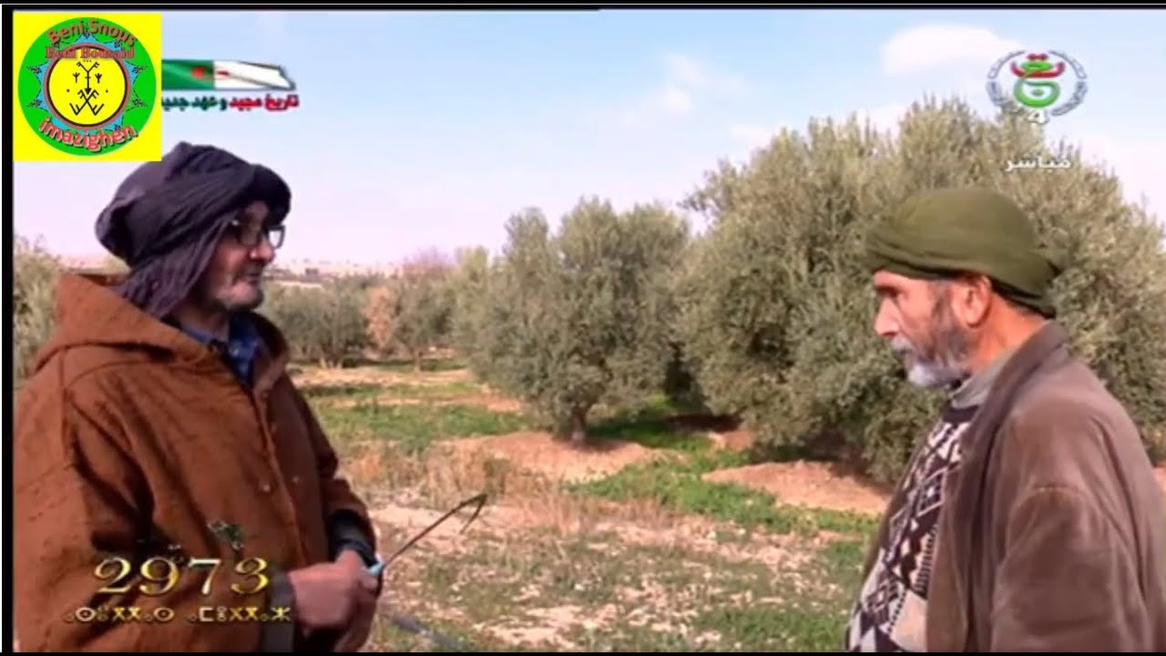 Ennayer 2973 chez les  imazighen de Tlemcen