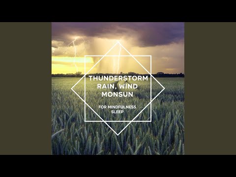 Thunderstorm, Rain & Wind Sounds, Pt. 14