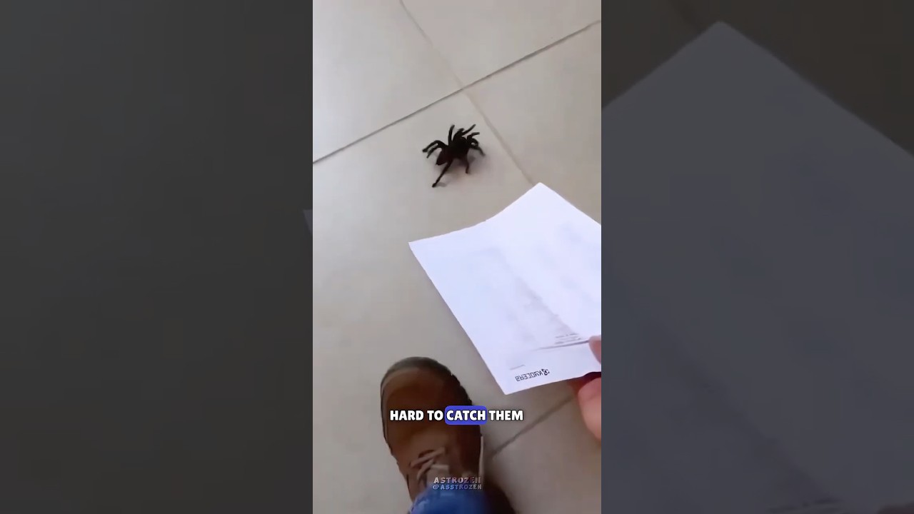 Умный инструмент для обнаружения ошибок