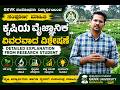 GKVK Research Student Explanation on Ground Nut | ಕಡಲೇ ಬೆಳೆಗೆ ಬೇಕಾದ ಪೋಷ್ಟಿಕಾಂಶಗಳು ಏನು..? #farmers