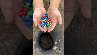 Nyumet Mercon Telur Dino Pretek Didalam Tanah Lihat Reaksinya