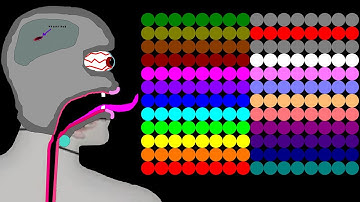The Crazy Man 6 Legs Eliminations Marble Race ASRM in Algodoo