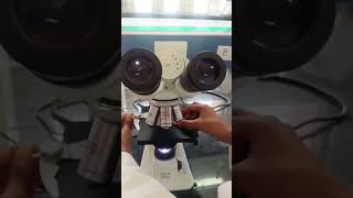 #Rbc test 🤟 gmc Almora 🫡🫡