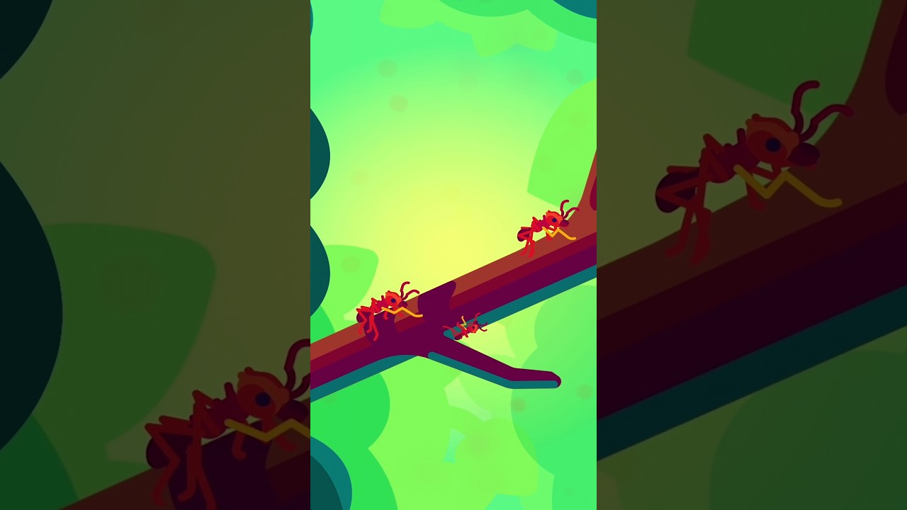 Earth's Hidden Gem: The Astonishing Diversity of Fauna and Flora #shorts #kurzgesagt