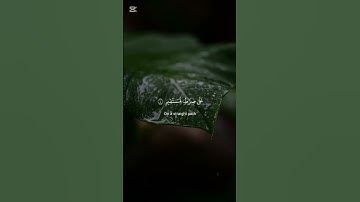 سورة يس ♥️ محمد صديق المنشاوي رحمه الله عليه 🤲🌿 #explore #اكسبلور #قران_كريم #المصحف #explore #لايك