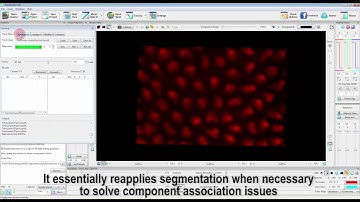 Integration of clustering methods into FluoRender