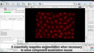 Celebrity Integration of clustering methods into FluoRender's cell tracking Profile